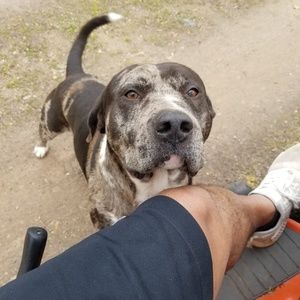 Meet your Posher, Mike